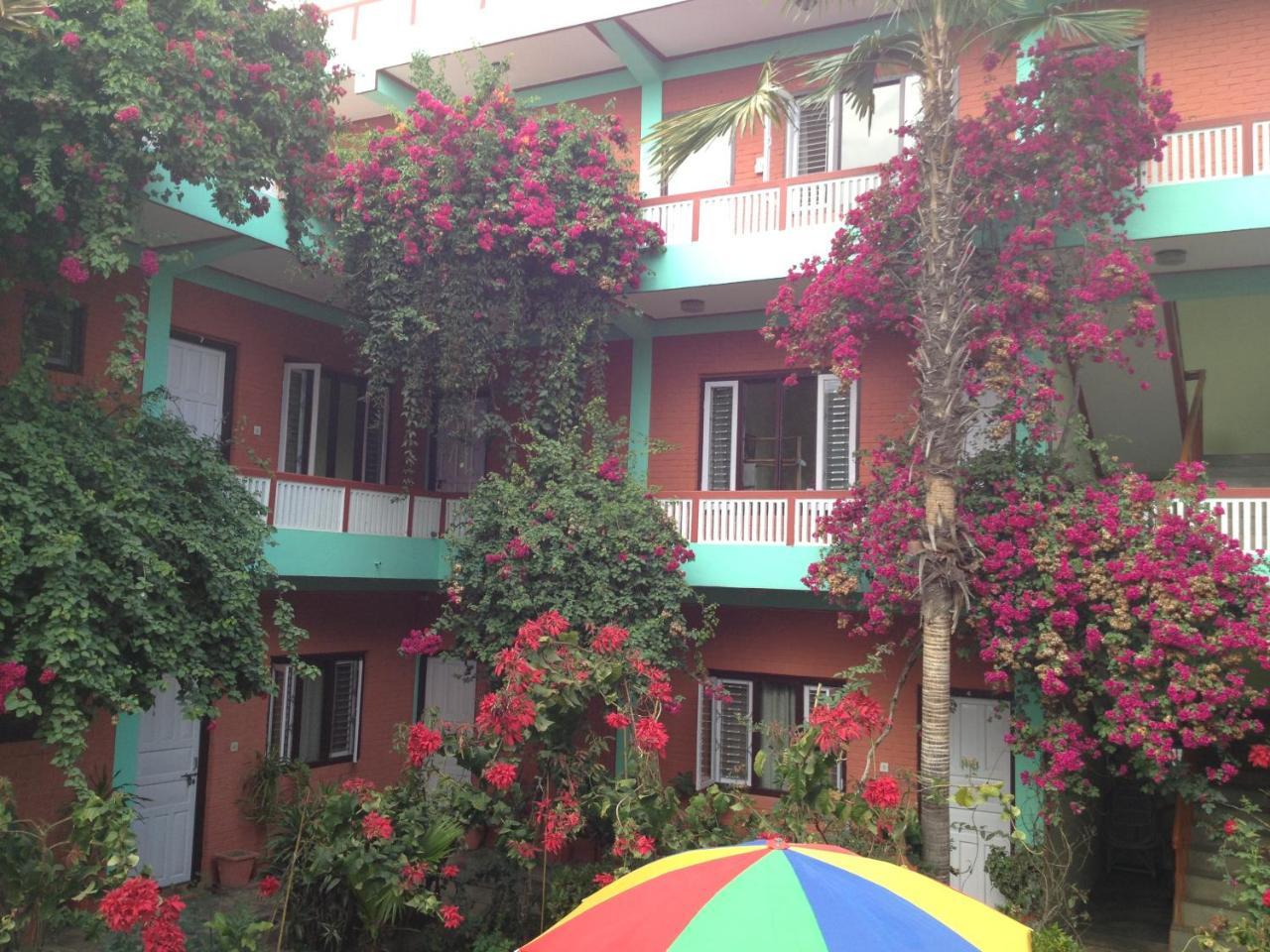 นิว โปคฮาร่า ลอดจ์ Hotel โพคารา ภายนอก รูปภาพ